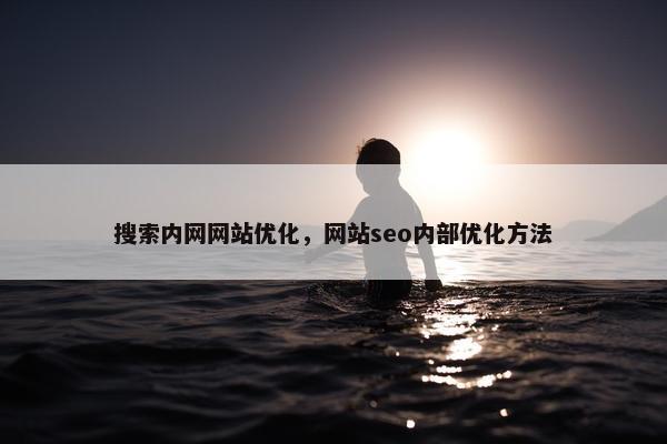 搜索内网网站优化，网站seo内部优化方法