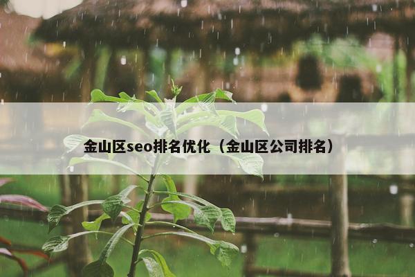 金山区seo排名优化（金山区公司排名）