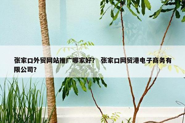 张家口外贸网站推广哪家好？ 张家口网贸港电子商务有限公司？