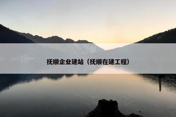 抚顺企业建站（抚顺在建工程）