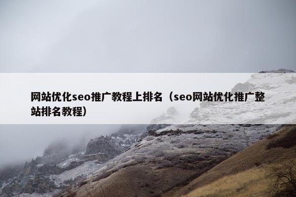 网站优化seo推广教程上排名（seo网站优化推广整站排名教程）