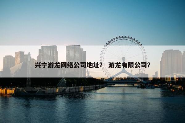 兴宁游龙网络公司地址？ 游龙有限公司？