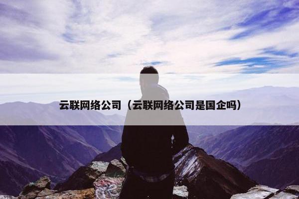 云联网络公司（云联网络公司是国企吗）