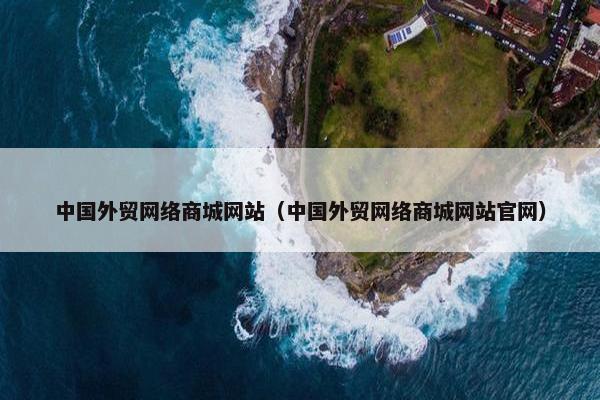 中国外贸网络商城网站（中国外贸网络商城网站官网）