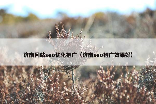济南网站seo优化推广（济南seo推广效果好）