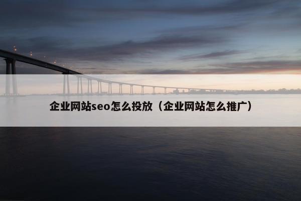 企业网站seo怎么投放（企业网站怎么推广）
