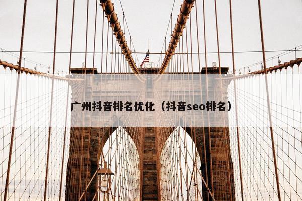 广州抖音排名优化（抖音seo排名）