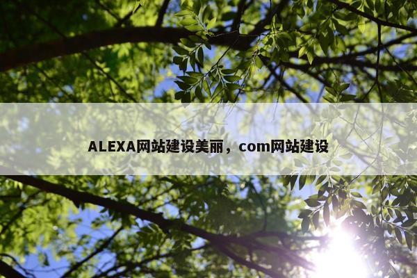 ALEXA网站建设美丽，com网站建设
