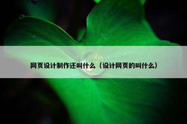 网页设计制作还叫什么（设计网页的叫什么）