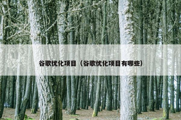 谷歌优化项目（谷歌优化项目有哪些）