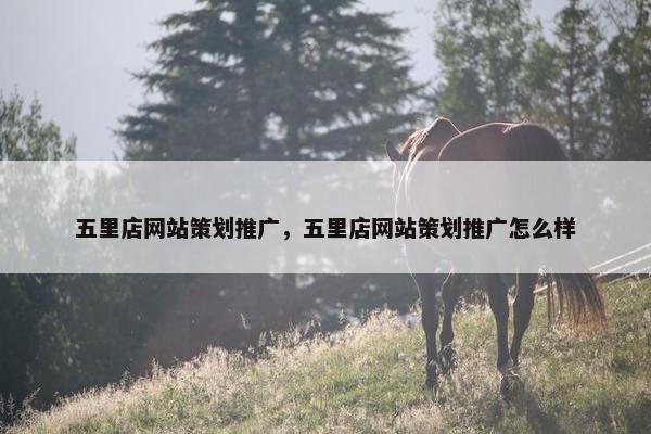 五里店网站策划推广，五里店网站策划推广怎么样