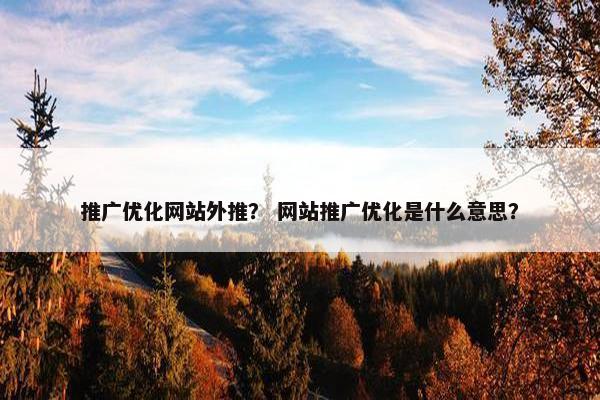 推广优化网站外推？ 网站推广优化是什么意思？
