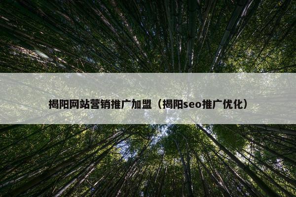 揭阳网站营销推广加盟（揭阳seo推广优化）