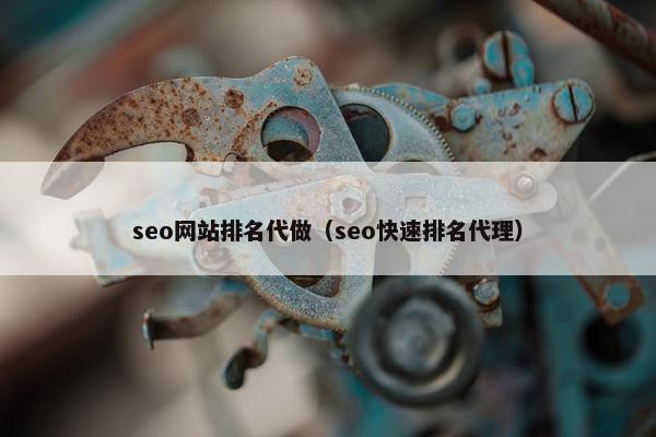 seo网站排名代做（seo快速排名代理）