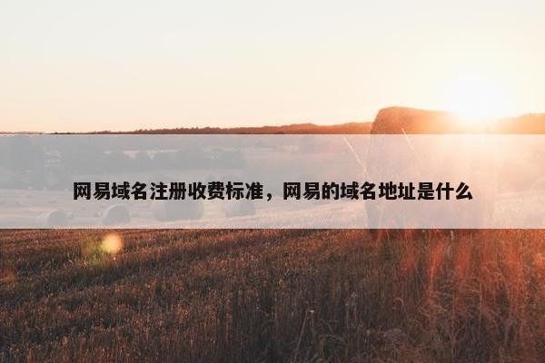 网易域名注册收费标准，网易的域名地址是什么