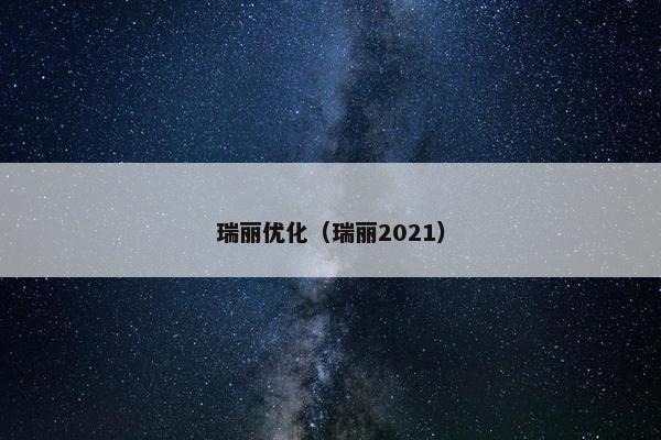 瑞丽优化（瑞丽2021）