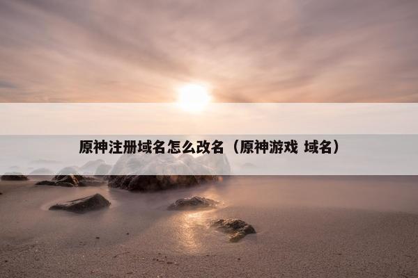 原神注册域名怎么改名（原神游戏 域名）