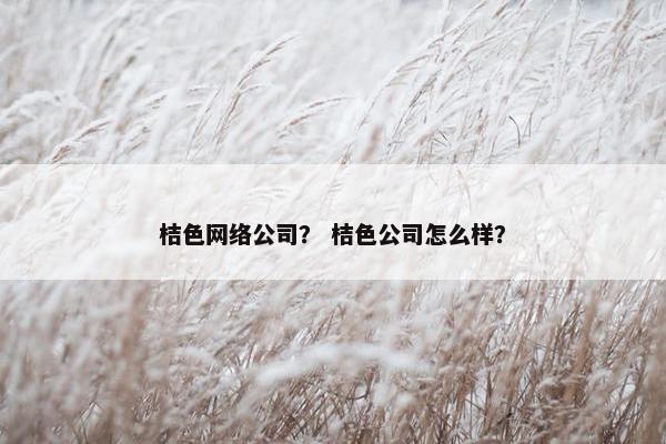 桔色网络公司？ 桔色公司怎么样？