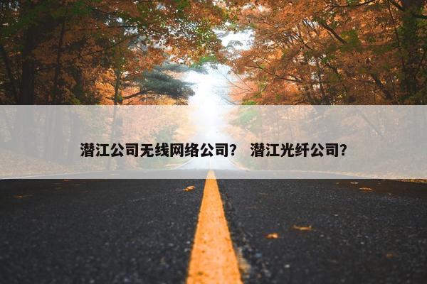 潜江公司无线网络公司？ 潜江光纤公司？