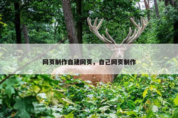 网页制作自建网页，自己网页制作