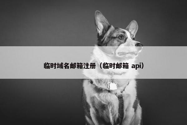 临时域名邮箱注册（临时邮箱 api）