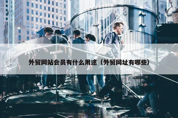 外贸网站会员有什么用途（外贸网址有哪些）