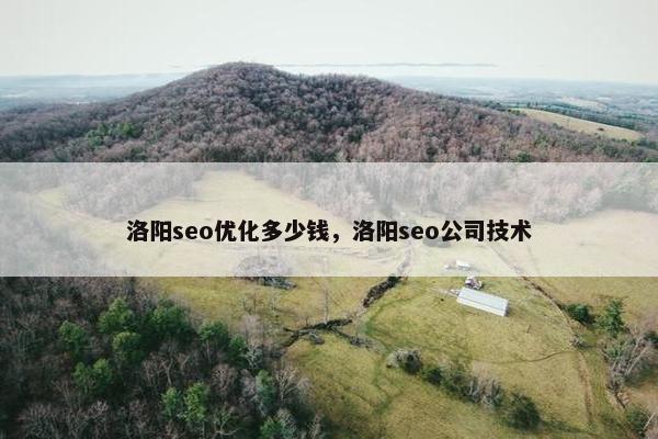 洛阳seo优化多少钱，洛阳seo公司技术