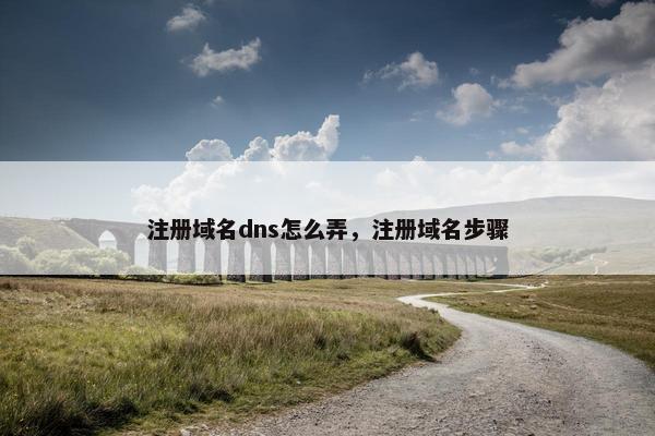 注册域名dns怎么弄，注册域名步骤