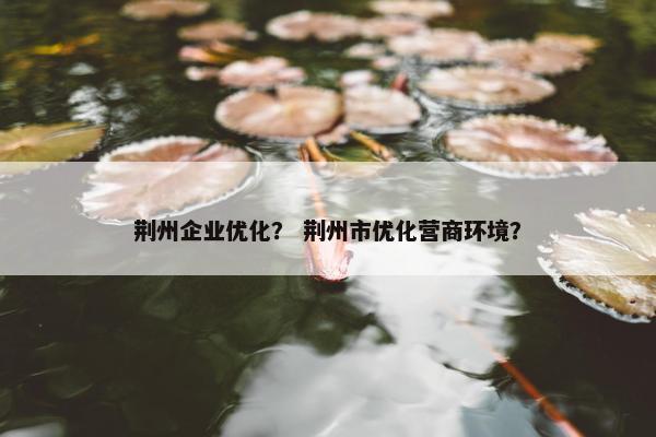 荆州企业优化？ 荆州市优化营商环境？
