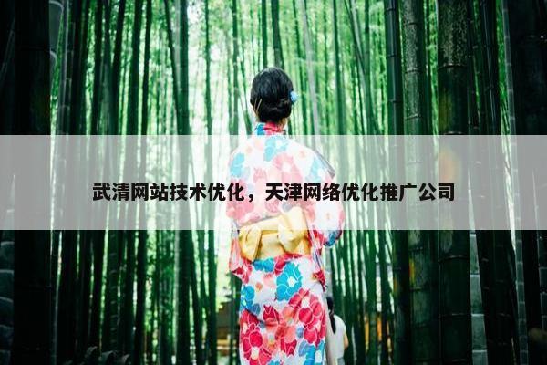 武清网站技术优化，天津网络优化推广公司