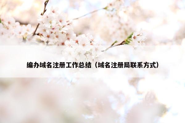 编办域名注册工作总结（域名注册局联系方式）