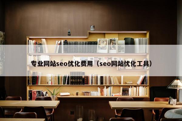 专业网站seo优化费用（seo网站优化工具）