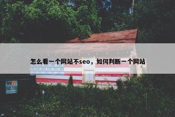 怎么看一个网站不seo，如何判断一个网站