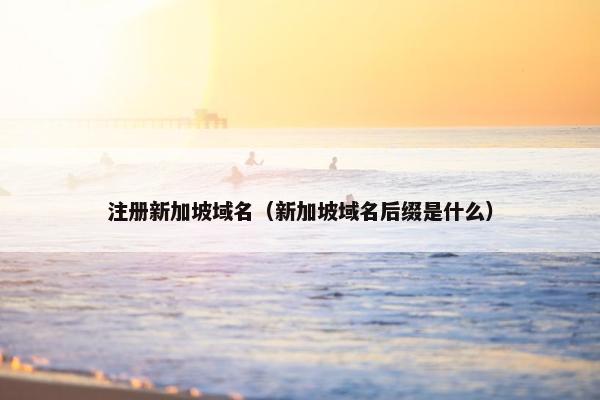 注册新加坡域名（新加坡域名后缀是什么）