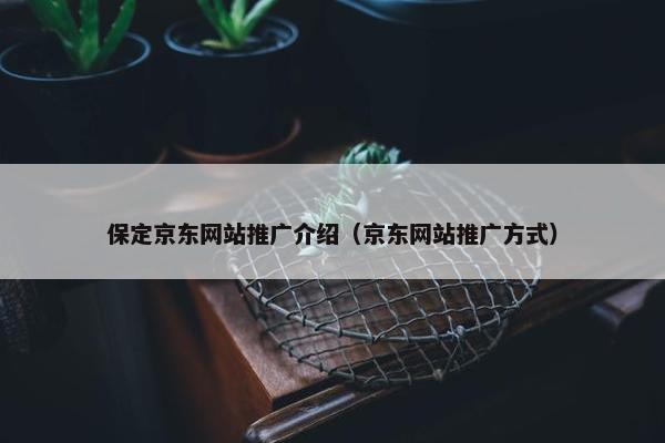保定京东网站推广介绍（京东网站推广方式）