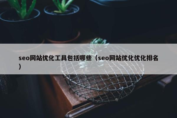 seo网站优化工具包括哪些（seo网站优化优化排名）