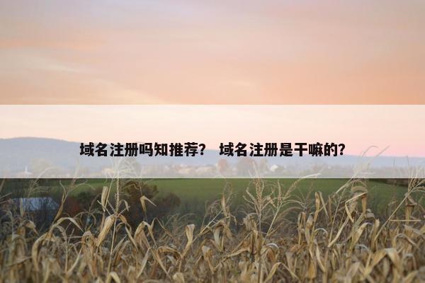 域名注册吗知推荐？ 域名注册是干嘛的？