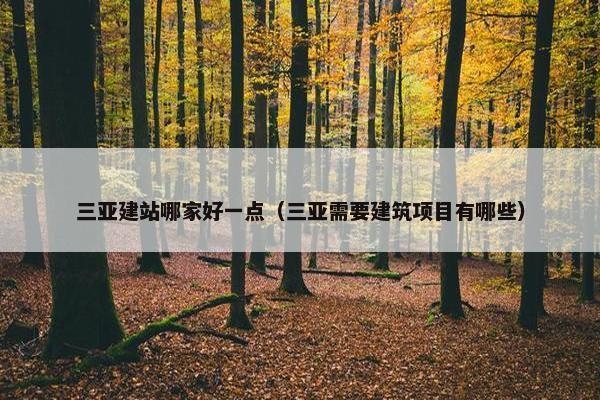 三亚建站哪家好一点（三亚需要建筑项目有哪些）