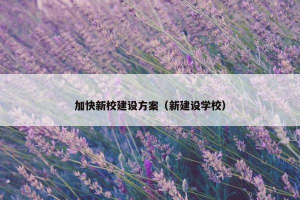 加快新校建设方案（新建设学校）