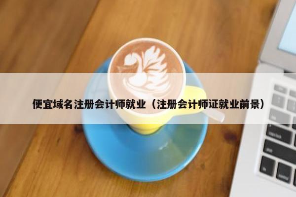 便宜域名注册会计师就业（注册会计师证就业前景）