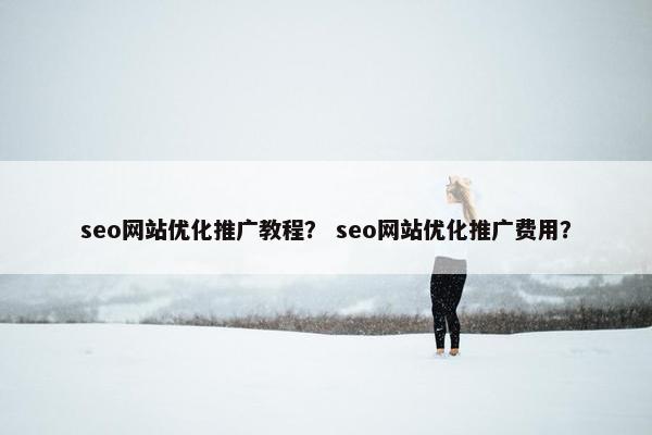 seo网站优化推广教程？ seo网站优化推广费用？