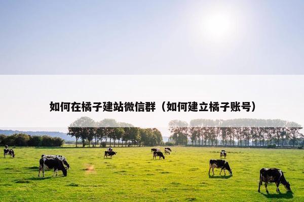如何在橘子建站微信群（如何建立橘子账号）