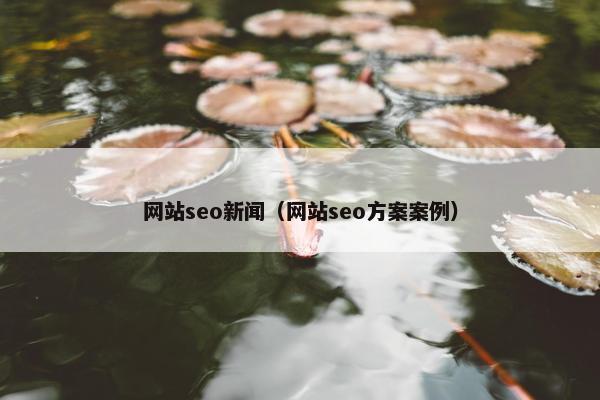 网站seo新闻（网站seo方案案例）