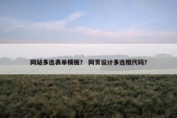 网站多选表单模板？ 网页设计多选框代码？