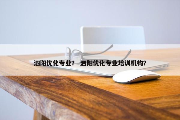 泗阳优化专业？ 泗阳优化专业培训机构？