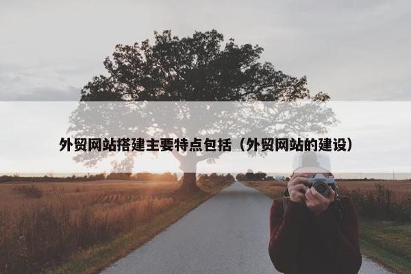 外贸网站搭建主要特点包括（外贸网站的建设）
