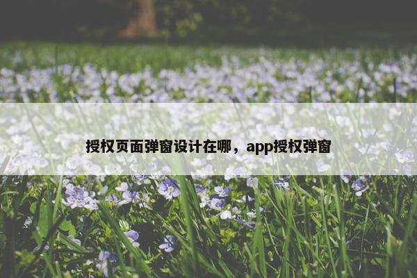 授权页面弹窗设计在哪，app授权弹窗