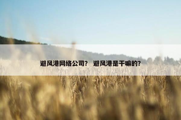 避风港网络公司？ 避风港是干嘛的？