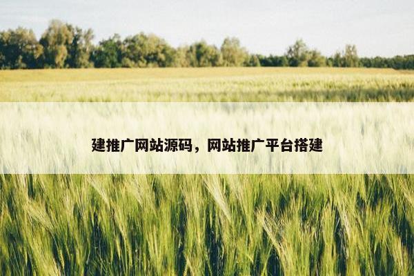 建推广网站源码，网站推广平台搭建