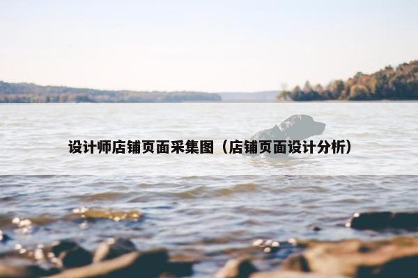 设计师店铺页面采集图（店铺页面设计分析）